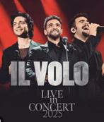 1 ticket concert  il Volo 7 december Vorst national, Tickets en Kaartjes, Eén persoon, December