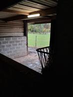 Stalling met vrije weidegang en buitenpiste in oevel, Weidegang, 1 paard of pony