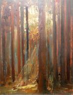 Rayon de lumière dans les arbres, Brugge (56 x 66 cm), Enlèvement ou Envoi