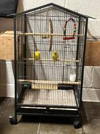 Vogelkooi op wielen, Dieren en Toebehoren, Vogels | Hokken en Kooien, Ophalen of Verzenden, Zo goed als nieuw, Vogelkooi
