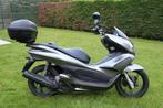Moto Honda WW125EX2, 1 cylindre, Scooter, Particulier, 125 cm³