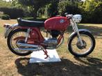 MV Agusta  150 SR        bj 1968, Motoren