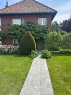 Mooie woning met paardenstallen en aanpalende weides, Immo, Vrijstaande woning, Provincie Limburg, 1500 m² of meer
