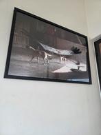 Panamarenko Raven, Enlèvement ou Envoi