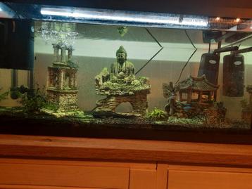 Mooie aquarium 110 liter van jewel in boedha stijl