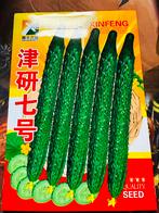 Chinese komkommer, Tuin en Terras, Voorjaar, Zaad, Volle zon