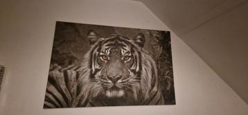 Tijger op canvas  beschikbaar voor biedingen
