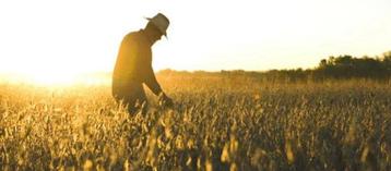 Agriculteur, gestionnaire d'exploitation beschikbaar voor biedingen