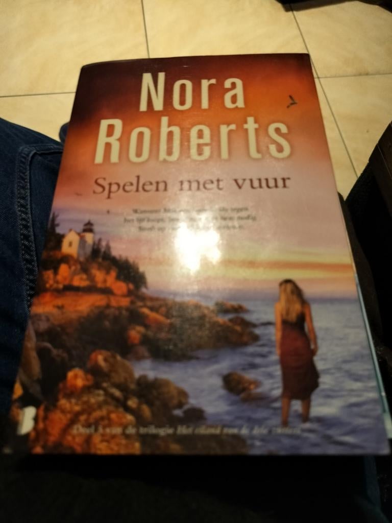Spelen met vuur, hemel en aarde en dansen op lucht, Boeken, Ophalen, Gelezen