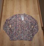 Trui Desigual XXL, nieuw met prijskaartje., Vêtements | Femmes, Pulls & Gilets, Enlèvement ou Envoi, Neuf, Taille 46/48 (XL) ou plus grande