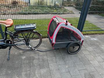 Hond fietskar beschikbaar voor biedingen