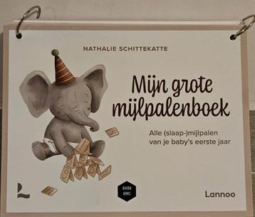 Mijn grote mijlpalenboek beschikbaar voor biedingen