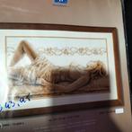 Borduurpakket vervaco, Ophalen of Verzenden, Zo goed als nieuw, Borduurpakket