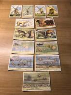 Liebig, Ophalen of Verzenden, Gebruikt, Overige onderwerpen, Prent