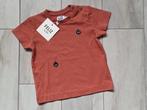 ★ M74 - Nieuw t-shirt Filou & Friends, Kinderen en Baby's, Babykleding | Maat 74, Nieuw, Filou & Friends, Ophalen of Verzenden