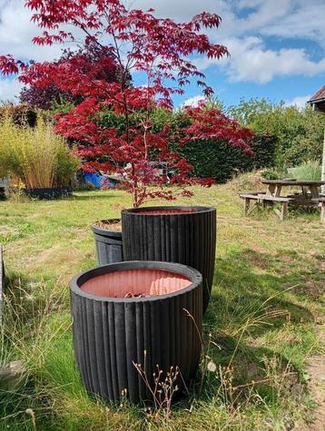 2 pots de fleurs noir XL de la marque Capri beschikbaar voor biedingen