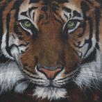 Fine Art Print: "Eye of the Tiger" tijger print, kunstwerk, Antiek en Kunst, Kunst | Schilderijen | Modern, Verzenden