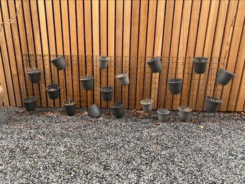 Verticale tuin - raster met bloempotten ideaal voor kruiden  beschikbaar voor biedingen