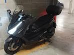 Honda Forza smart top box, 4 cylindres, Scooter, Particulier, 125 cm³