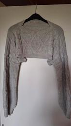 Korte trui, Kleding | Dames, Ophalen of Verzenden, Zo goed als nieuw, Maat 38/40 (M)
