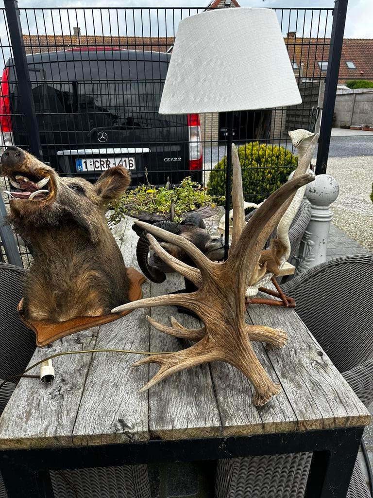 Gewei lamp van eland, Maison & Meubles, Lampes | Abat-jour, Enlèvement, Comme neuf