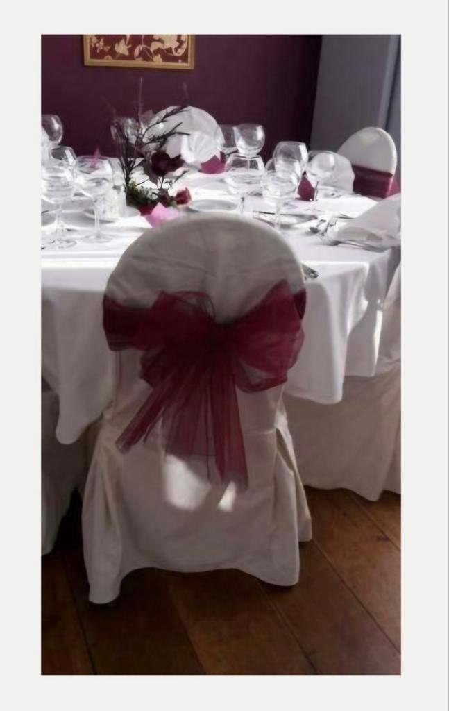 Lot de tulle prédécoupé pour gros nœuds décoratifs, Hobby & Loisirs créatifs, Articles de fête, Enlèvement