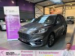 Ford Kuga 2.0 EcoBlue Hybrid St-Line 1ste eig., Auto's, Ford, 0 kg, 1995 cc, Bedrijf, 5 deurs