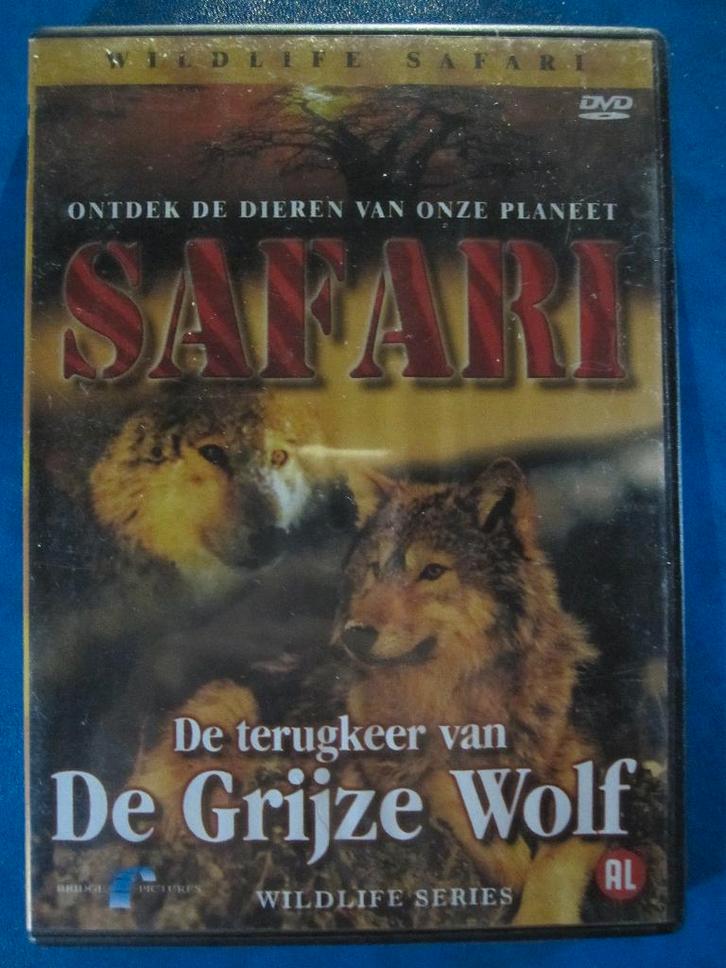 Safari - Le retour du loup gris, CD & DVD, DVD | Documentaires & Films pédagogiques, Comme neuf, Nature, Tous les âges, Enlèvement ou Envoi