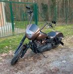 Harley Davidson dyna, Motoren, Particulier