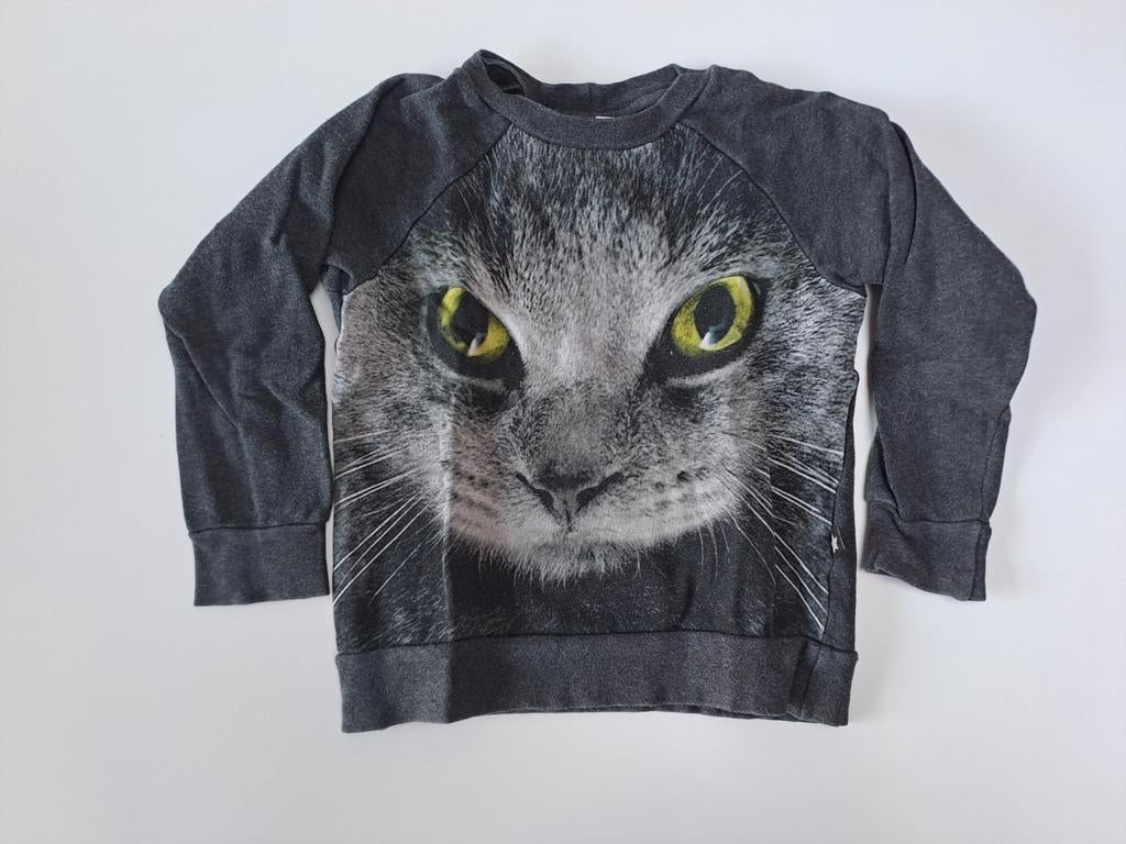 Mt 104 Donkergrijze sweater met poezengezicht, Kinderen en Baby's, Kinderkleding | Maat 104, Molo, Jongen of Meisje, Trui of Vest