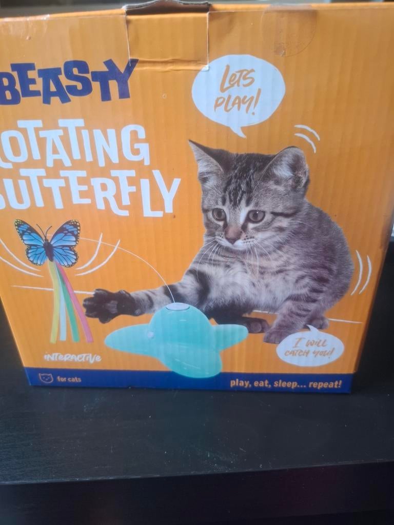 Jeux chat ou chaton, Animaux & Accessoires