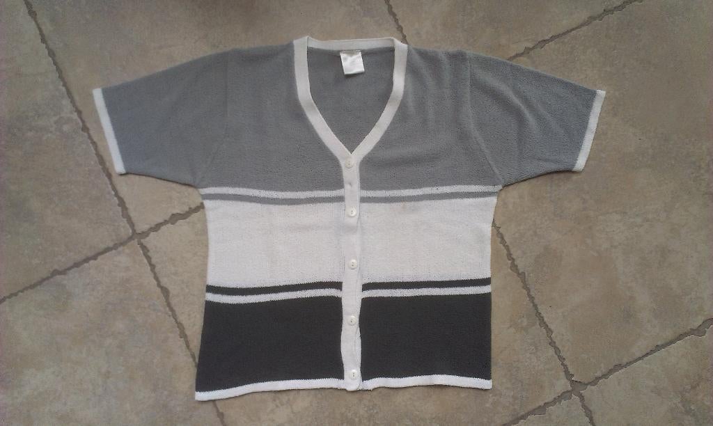 GRATIS mooie gilet mt Large, Kleding | Dames, Truien en Vesten, Gedragen, Maat 42/44 (L), Overige kleuren, Ophalen of Verzenden