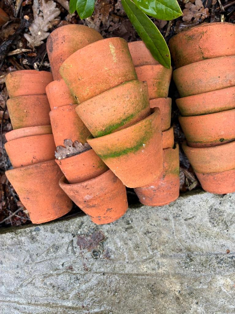 Oude terracotta bloem-stek- decoratie potjes, Ophalen, Gebruikt, Rond, Balkon