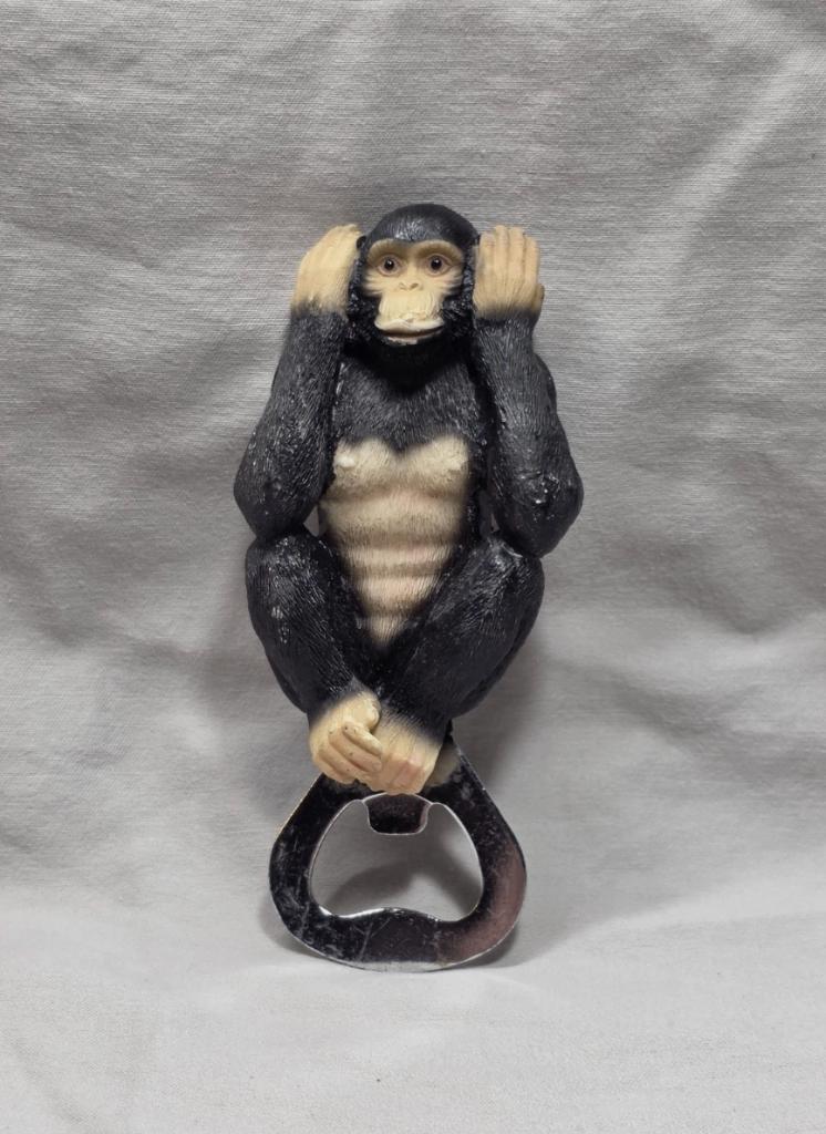 Aimant ouvre-bouteille avec le texte « Monkey hears no harm, Livres, Religion & Théologie, Enlèvement ou Envoi, Utilisé, Autres religions