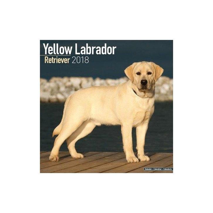 Calendrier Labrador Retriever 2018, Divers, Calendriers, Neuf, Calendrier annuel, Enlèvement ou Envoi