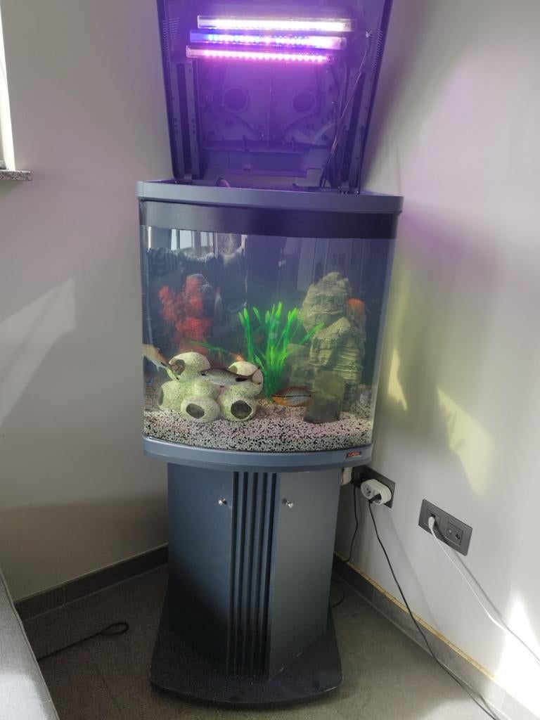 Kubes aquarium 120l, Ophalen