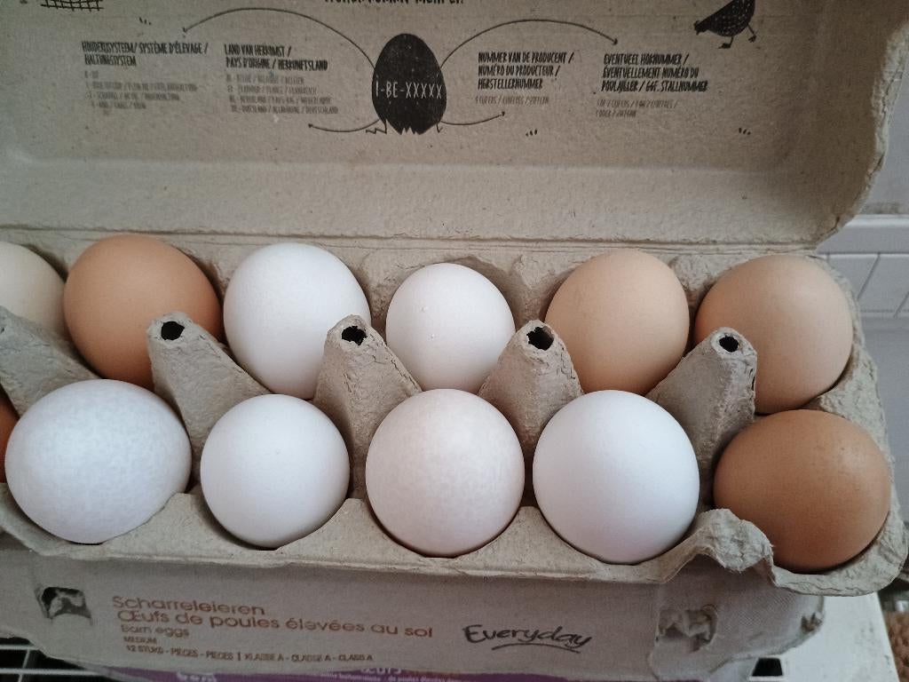 vrije uitloop eieren/ eitjes te koop, Diversen, Levensmiddelen, Ophalen