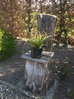 Siergras, Tuin en Terras, Planten | Tuinplanten, Ophalen