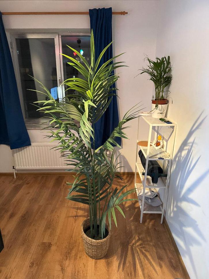 FEJKA Plante artificielle Kentia avec cache-pot en osier, Maison & Meubles, Accessoires pour la Maison | Plantes & Fleurs artificielles