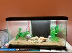 Aquarium complet 58L, Enlèvement, Comme neuf