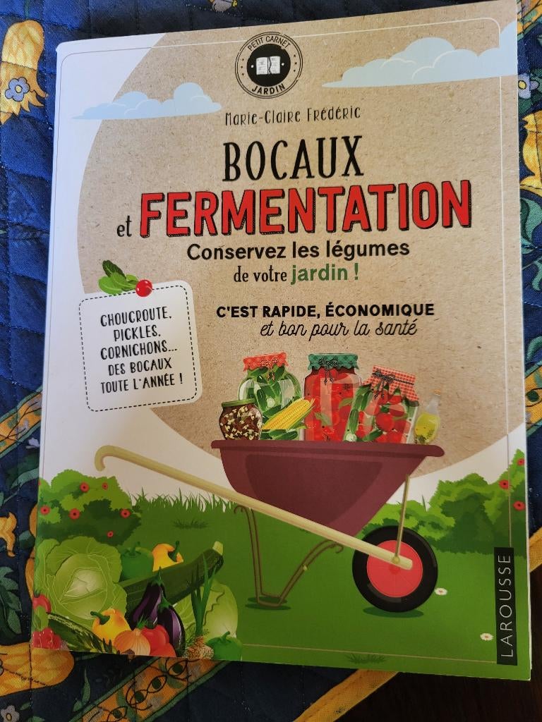 Bocaux et fermentation, Livres, Livres de cuisine, Neuf, Enlèvement, Autres types, Cuisine saine