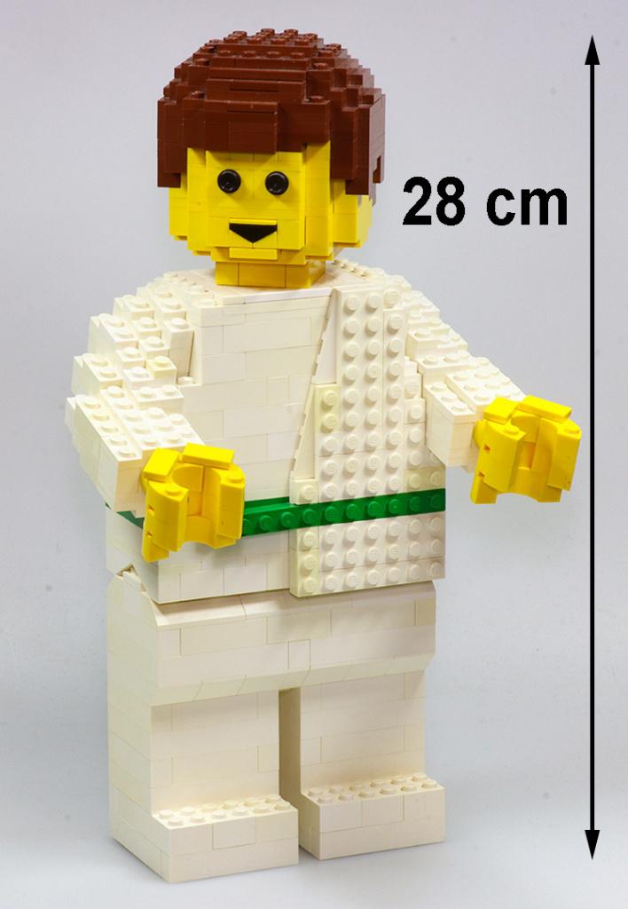 LEGO groot uniek beeld-bouwwerk gegraveerd met 'JENS' op rug, Kinderen en Baby's, Speelgoed | Duplo en Lego, Ophalen of Verzenden