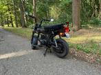 Bluroc Dax 50cc, Fietsen en Brommers, Brommers | Honda, Ophalen, Overige modellen, Klasse B (45 km/u), Zo goed als nieuw