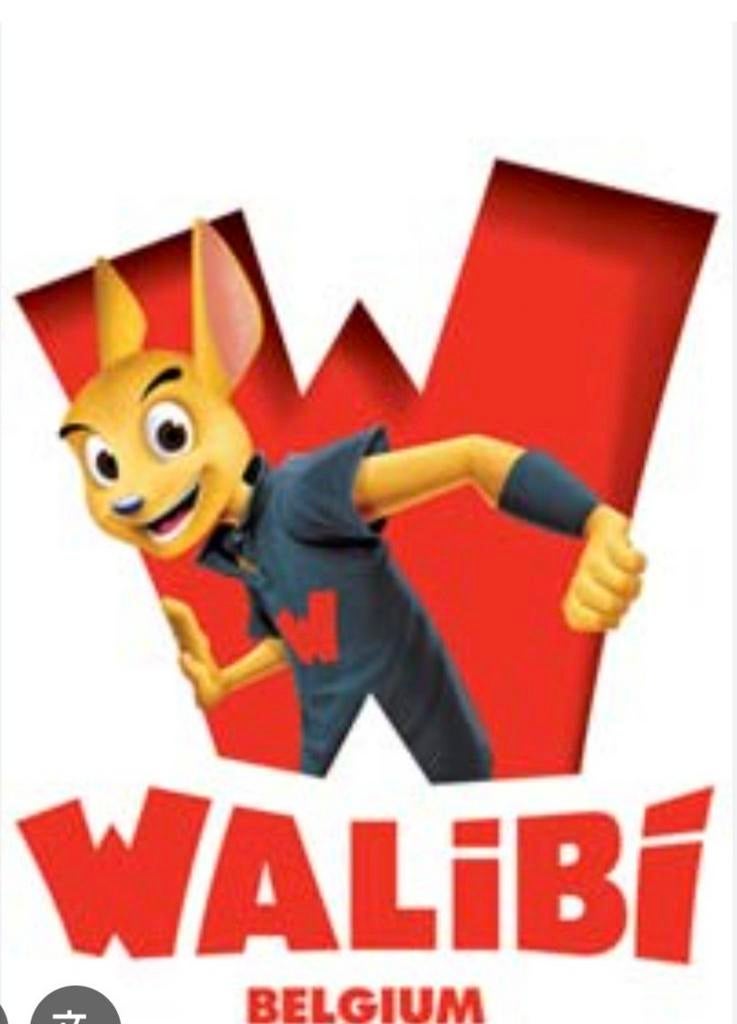 Walibi tickets adulte