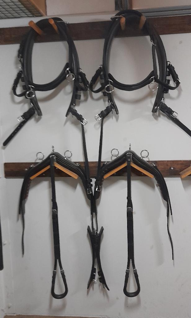 Tweespantuig Paul Claessen., Dieren en Toebehoren, Paarden en Pony's | Hoofdstellen en Tuigage, Zo goed als nieuw, Overige soorten