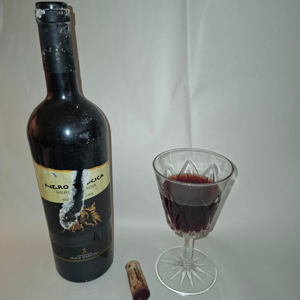 200 bouteilles NERO DI TROIA. PUGLIA 2008 ET 2009., Collections, Vins, Pleine, Comme neuf, Enlèvement, Vin rouge