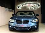 BMW 2 Serie 218 D * PACK M PERFORMANCE * GARANTIE 12 MOIS *, 4 zetels, 4 cilinders, Leder, Bedrijf