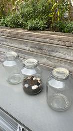 Glazen potten voor terrarium, Gebruikt