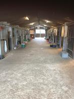 prive stalling, Dieren en Toebehoren, Stalling en Weidegang, Weidegang, 2 of 3 paarden of pony's