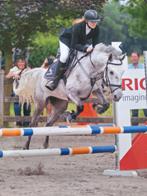 Merrie 2019 te koop, Jument